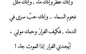 pin by fatima alawi on arabic quotes words quotes morning quotes inspirational quotes