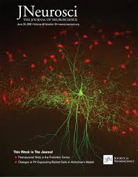 Takes no responsibility for the content or accuracy of the above news articles, tweets, or blog posts. Perineuronal Nets Regulate The Inhibitory Perisomatic Input Onto Parvalbumin Interneurons And G Activity In The Prefrontal Cortex Journal Of Neuroscience