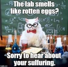 The Best Of The Chemistry Cat Meme Chemistry Jokes Chemistry Cat Jokes For Kids