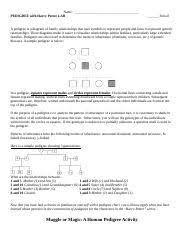 If so, check out this video and learn more about jk rowling's amazingly successful creations. Copy Of Harry Potter Pedigrees Pdf Ap Biology Name Harry Potter Pedigrees A Pedigree Is A Diagram Of Family Relationships That Uses Symbols To Course Hero
