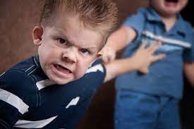Early Childhood Emotional And Social Development Aggression Child Development Parenting Early 3 7