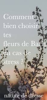 Comment Bien Choisir Tes Fleurs De Bach En Cas De Stress Nature De Deesse En 2020 Fleurs De Bach Bach Stress