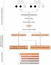 The pogil project is grateful for the support of the national science foundation, the department of education, the hach page 3/6. A Nonsense Mutation In A Gene Quizlet