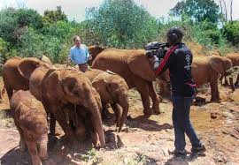 We did not find results for: Elephants Don T Eat Peanuts And 10 Other Things You Should Know About The Pachyderms Pbs Newshour