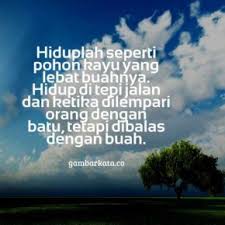 Gambar Kata Kata Untuk Nasihat Diri Sendiri Motivasi Ungkapan Romantis Bijak