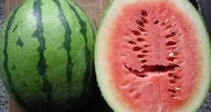 An uncut watermelon can be kept in the fridge for up to 3 weeks. How Long Will A Watermelon Stay Good After It S Picked But Uncut Quora