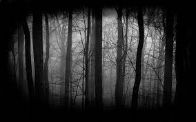 If your walls could talk, they would thank you. Dark Forest Wallpapers Wallpaper Cave