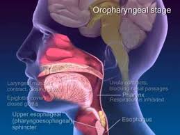Pin By Tara Goodwin On Slp Medical Speech Language Pathology Speech Therapy Resources Speech Language Therapy