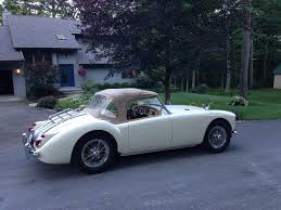 Image result for Old English White 1960 MG