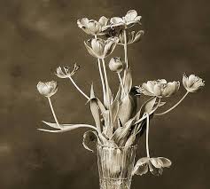 Klaus Bohn Photographs