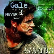 13 Hunger games fanfics ideas