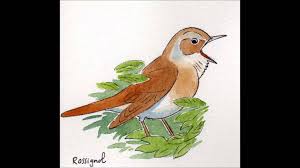 Epingle Sur Oiseaux