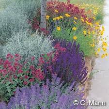 High Country Gardens Nursery Good To Grow High Country Gardens Drought Tolerant Garden Waterwise Garden