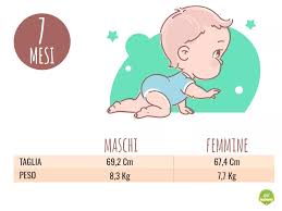 Il Tuo Bambino Di 7 Mesi Sviluppo Del Bambino Mese Dopo Mese