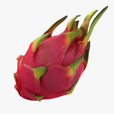 Whole Red Dragon Fruit 3d Model Ad Dragon Red Model Fruit In 2020 Red Dragon Fruit Dragon Fruit Red Dragon