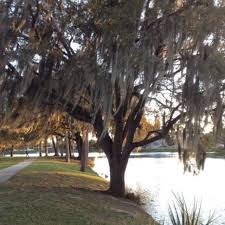 Tuscawilla Park Ocala Originally Posted By Su E Beautiful Lake Views From Under The Huge Moss Draped Oaks Provide S Beautiful Lakes Lake View Nature Trail