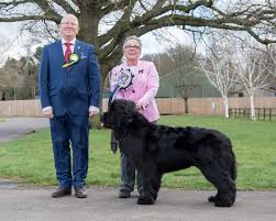 Check spelling or type a new query. The Newfoundland Club Homepage