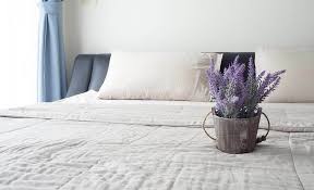 According to a japanese study, it has been examined that pothos has a high purification. The Best Plants For Your Bedroom Racq