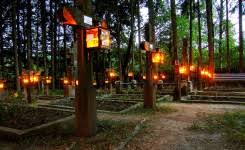 Condițiile generale de rezervare și achizitonare servicii pe www.pelerinajepentrusuflet.ro. Centrul De Pelerinaj Sf Parascheva Iasi