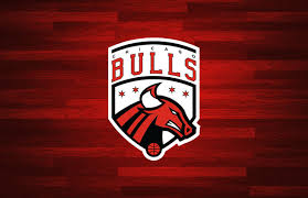 Logo chicago bulls chicago bulls chicago logo bulls logo element icon symbol shape template emblem decoration modern sign decorative logotype ornament identity colorful collection logos color. Unofficial Athletic Chicago Bulls Rebrand