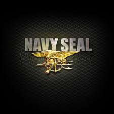 Us Navy Seal Logo Wallpapers Wallpaper Cave Navy flag states united background patriotic garden veteran wallpapers sailor chief mom seal decor wallpapersafari. us navy seal logo wallpapers