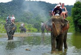 Elephant Sanctuary in Phuket & Elephant Trekking. Price from 699 baht –  Online-Phuket.com