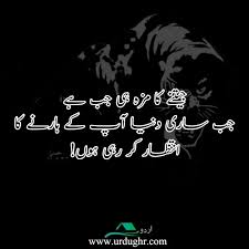 The student rights and responsibilities: 66 Best Attitude Quotes In Urdu Ignorance Quotes