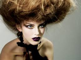 Taryn Davidson Canvas Poster G496568