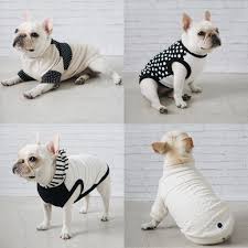 French bulldog shop, los angeles. Modern Dog Clothing And Accessories From Pipolli Dog Milk Dog Sweaters Dapper Dogs Modern Dog