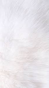 White Fur Iphone Wallpaper White Background Wallpaper White Wallpaper For Iphone White Wallpaper