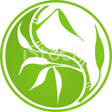 Yin Yang Symbol In Floral Style With Bamboo Plantas