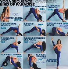 Bird Of Paradise Yoga Pose Sanskrit Bird Of Paradise Yoga Sequences Yoga Moves How To Do Yoga