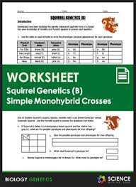 A 4 Page Worksheet Designed To Help Middle School And Lower High School Students Review The Topics Of Genet In 2020 High School Biology High School Students Worksheets