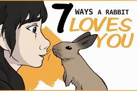 Treat the rabbit gently and firmly. 15 Ways To Bond With Your Pet Rabbit