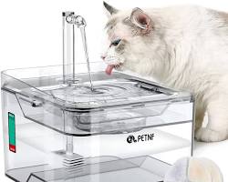 Automatic cat water fountainの画像
