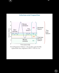 Image result for Lung Volume