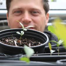 UF/IFAS School of Forest, Fisheries, & Geomatics Sciences