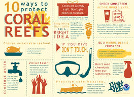 2020 q3 | sports, media & entertainment What Can I Do To Protect Coral Reefs
