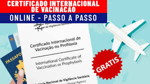 Precisa emitir o seu certificado internacional de vacinação civp através da internet? Como Fazer O Certificado Internacional De Vacinacao Da Febre Amarela Civp Online 2020 Youtube