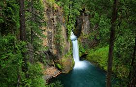 Maybe you would like to learn more about one of these? Wallpaper Greens Forest Trees Rock Stones Waterfall Moss Usa Oregon Toketee Falls Images For Desktop Section Priroda Download