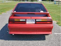 Image result for Wild Strawberry 1992 Tempo