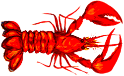 Maybe you would like to learn more about one of these? Free Lobster Gifs Animated Lobsters Clipart