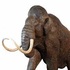 Animatronic woolly mammoth statue for theme parks woolly mammoth is a kind of largest mammals lived on land during the ice ages. Wolly Mammoth Prehistoric Statue With Tusks Diminutive 27 Inches Long Sculpture The Kings Bay