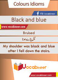 Black And Blue Idiom With Hindi And Urdu Meanings And Sentence Download Pdf Idioms Learn English Vocabulary English Vocabulary