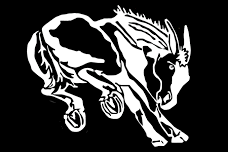 Wilson Girls JV Volleyball @ Muleshoe