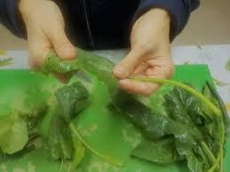 Come sempre, il modo migliore è cuocerli a vapore, in modo da mantenere intatto, per. Spinaci Freschi Impareggiabili Nel Sapore Fuori Di Campo