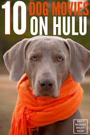 We may earn commission from the links on this page. 9 Best Dog Movies On Hulu Best Movies Right Now