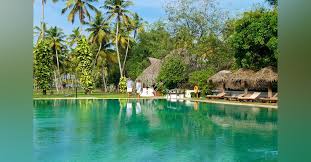 Belonged to cgh earth hotel chain 5 stars marari beach resort is located at north s.l puram, mararikulam in. Pool Or Ocean Choose Either At The Marari Beach Resort