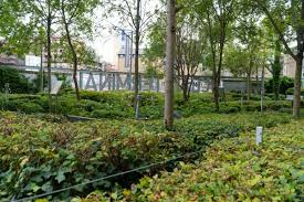 Discovery Garden Has Been Saved The Edinburgh Reporter