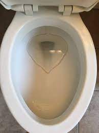 How to prevent hard water stains in toilet. How To Remove Hard Water Stains From Toilets The Forked Spoon